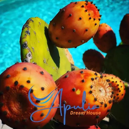 Apulia Dream House Tarent